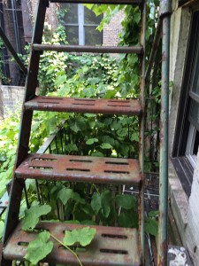 Fire escape for my apartment