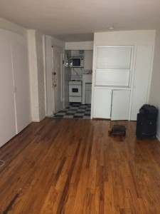 living room and kitchen of apartment