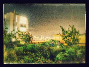 The High Line at night in August