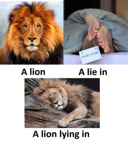 The difference between a lion and a lie in