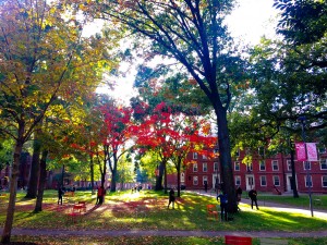 Harvard Yard in Boston in full fall colours