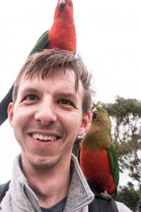 Parrots at the Kennett River Centre