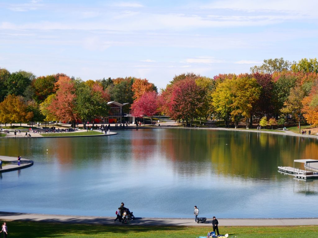 Fall colours around the lake on Mount Royal