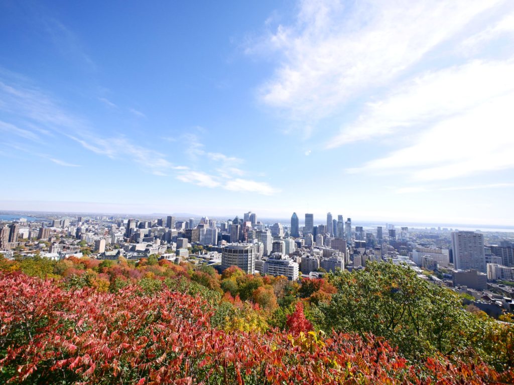 Look out to Downtown Montreal from top of Mount Royal