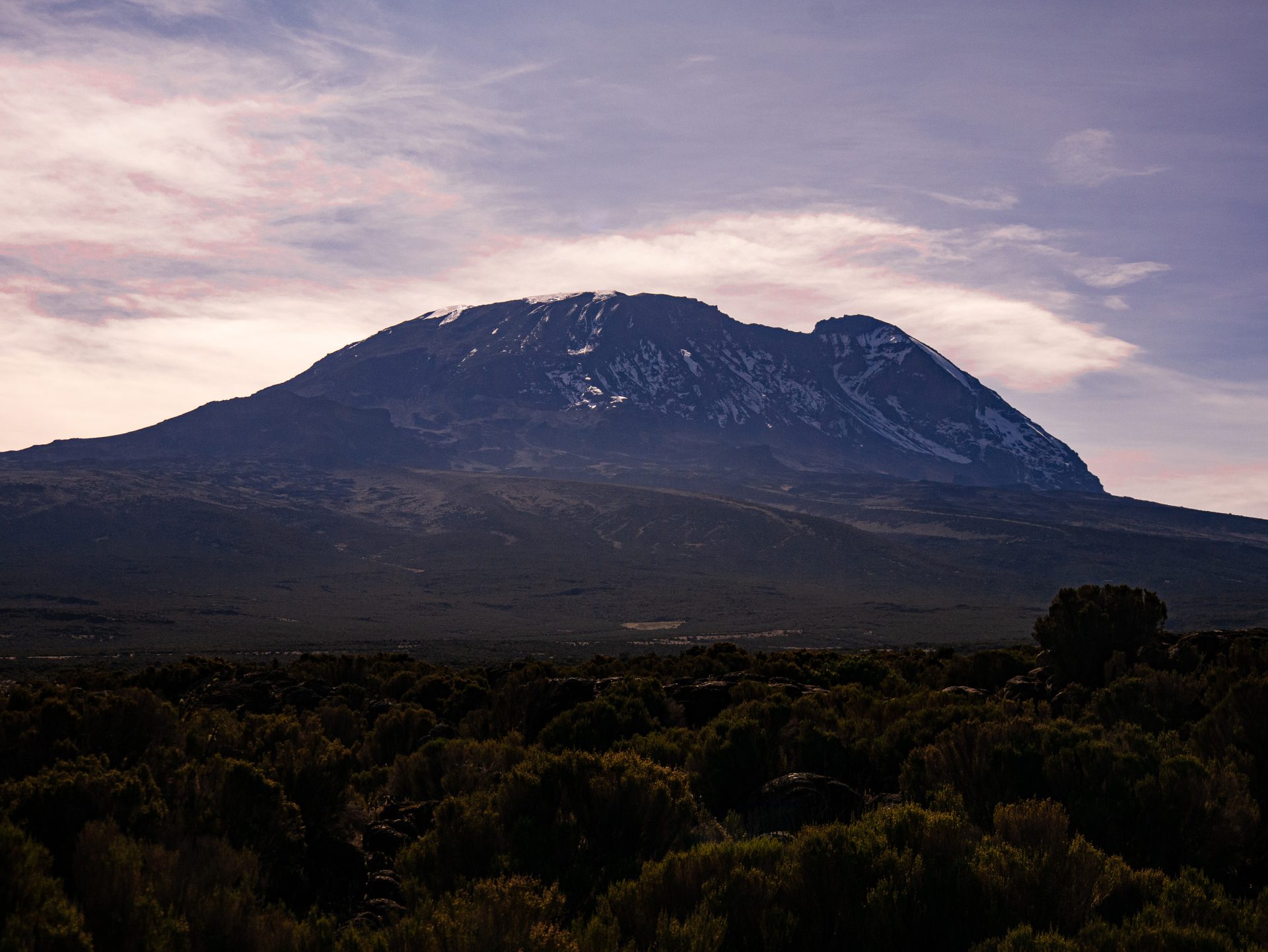 Kilimanjaro on the skyline
