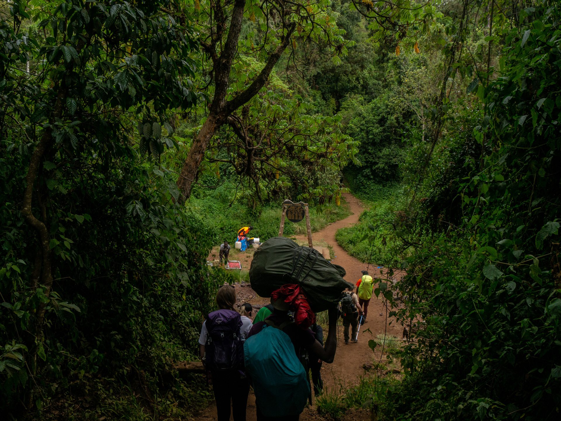 Rainforest Lemosho route