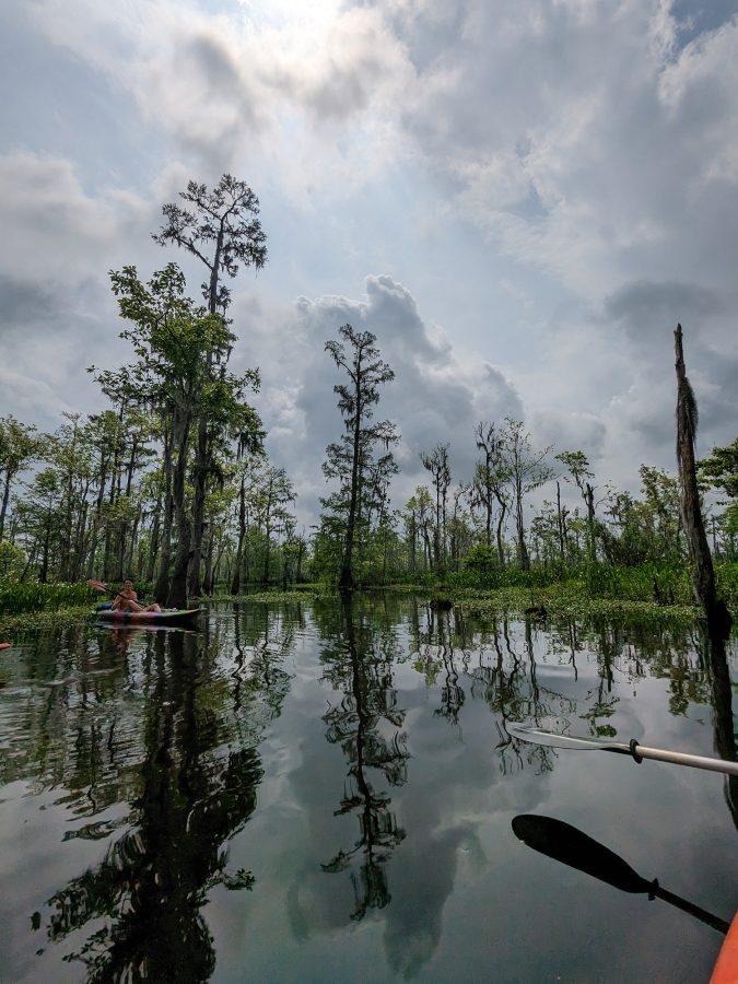 kayaking on the swamp